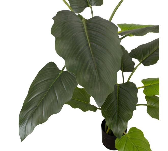 Plant taro artificial 120x100x170cm - Green