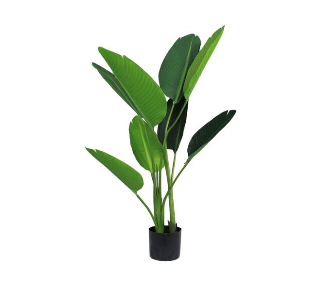 Plant strelitzia artificial 75x80x119cm - Green