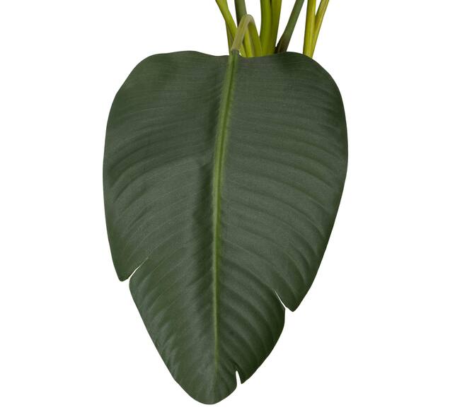 Plant strelitzia artificial 90x80x155cm