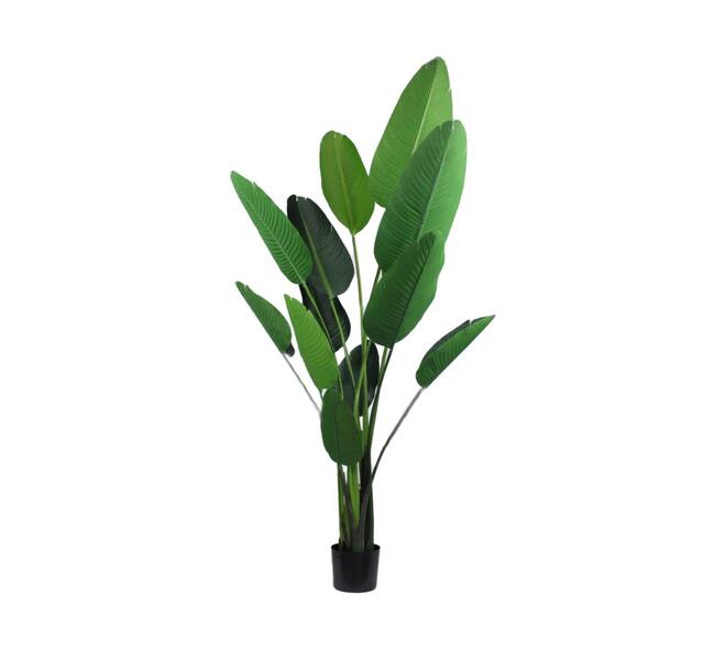 Plant strelitzia artificial 110x90x190cm - Green