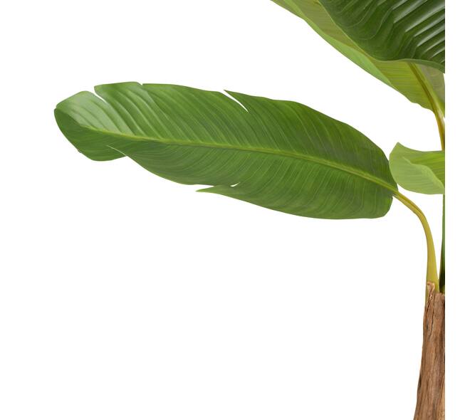 Tree banana artificial 115x120x200cm - Green