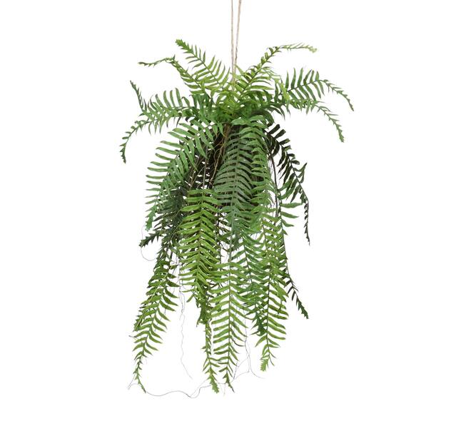 Plant hanging fern artificial 65x20x81cm - Green
