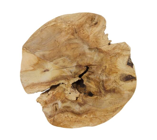 Champignon - Bois de teck - Naturel - 28x30cm