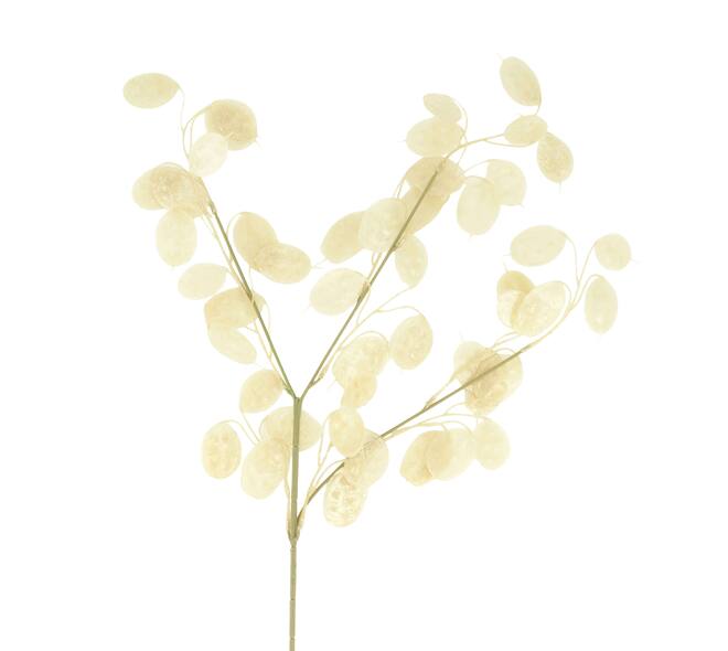 Branch lunaria artificial 75x25x2cm - White