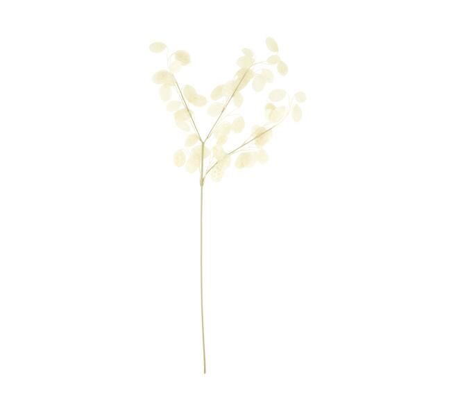 Branch lunaria artificial 75x25x2cm - White