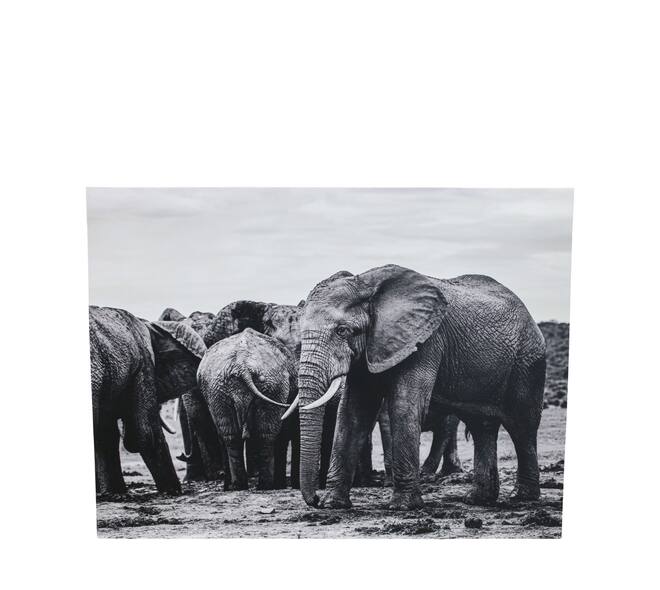 Wall art mdf 78x3x58cm