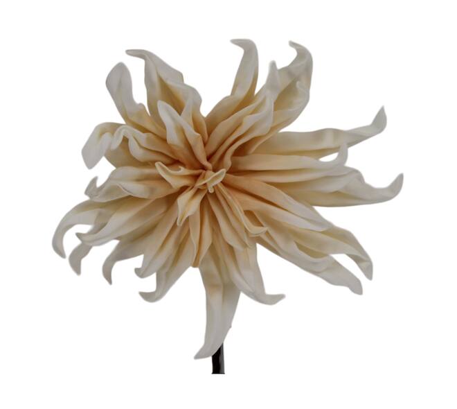 Flower dahlia foam 83x22x10cm - Cream