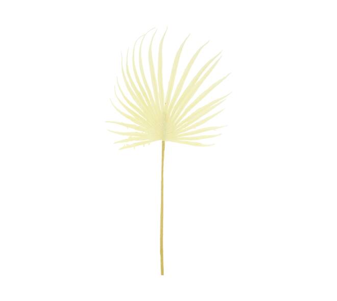 Leaf artificial 77x26x2cm - Cream