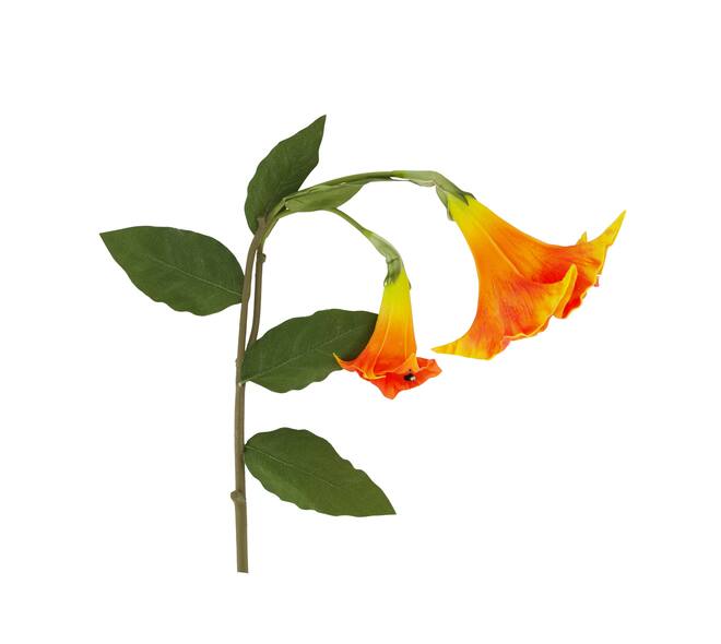 Flower datura artificial 24x24x129cm - Orange
