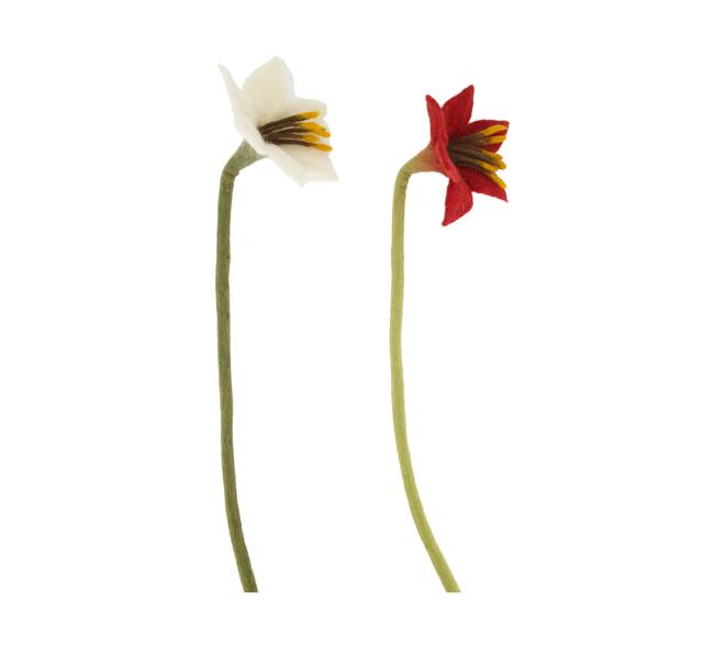 Flower amaryllis wool 14x14x58cm C/2