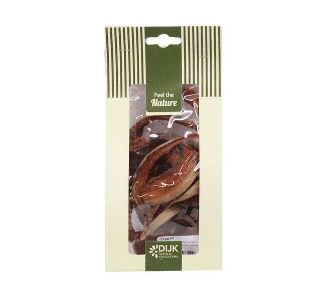 Coconut cut nature 10x5x22cm 50gr - Natural