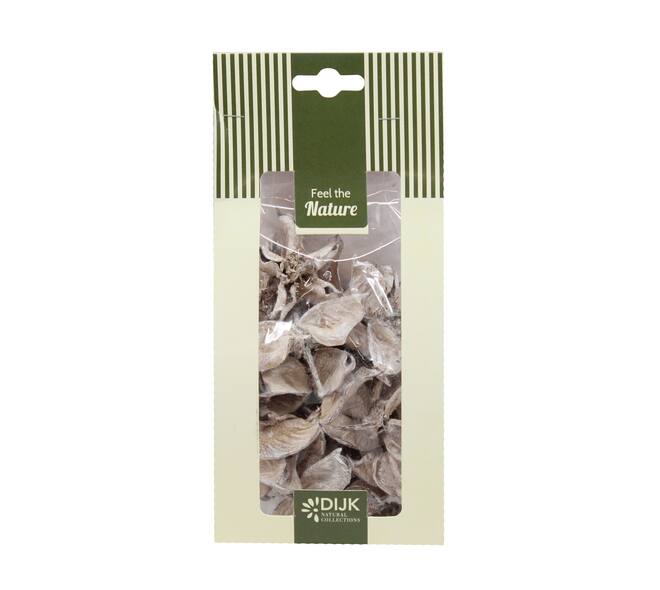 Cottonpod nature 10x5x22cm 40gr - White