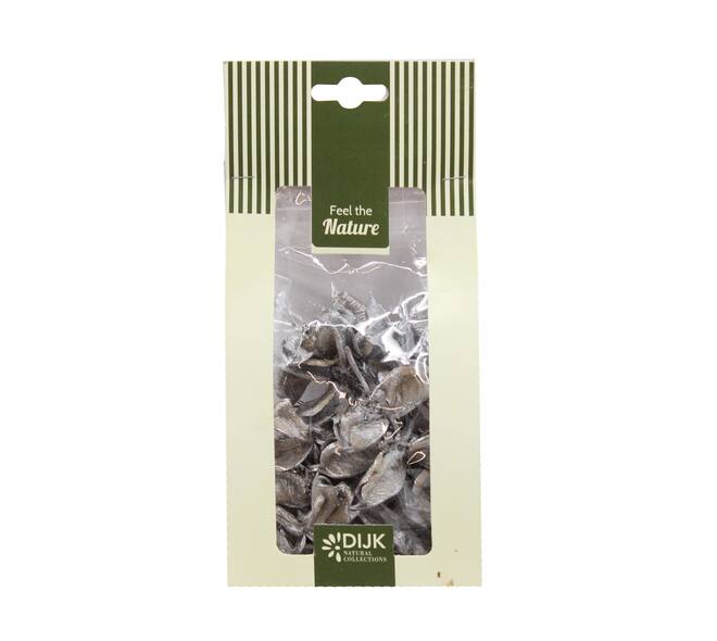 Cottonpod nature 10x5x22cm 40gr - Silver