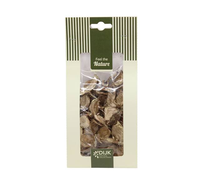 Cottonpod nature 10x5x22cm 40gr - Gold