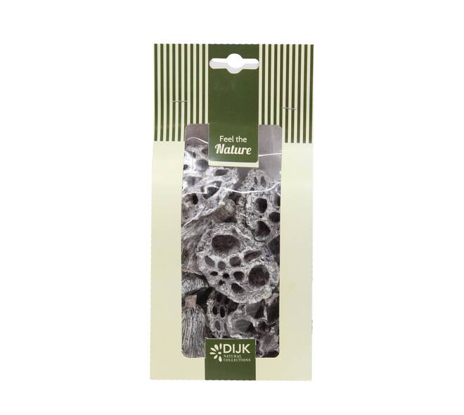 Lotus mini nature 10x5x22cm 10pc - White