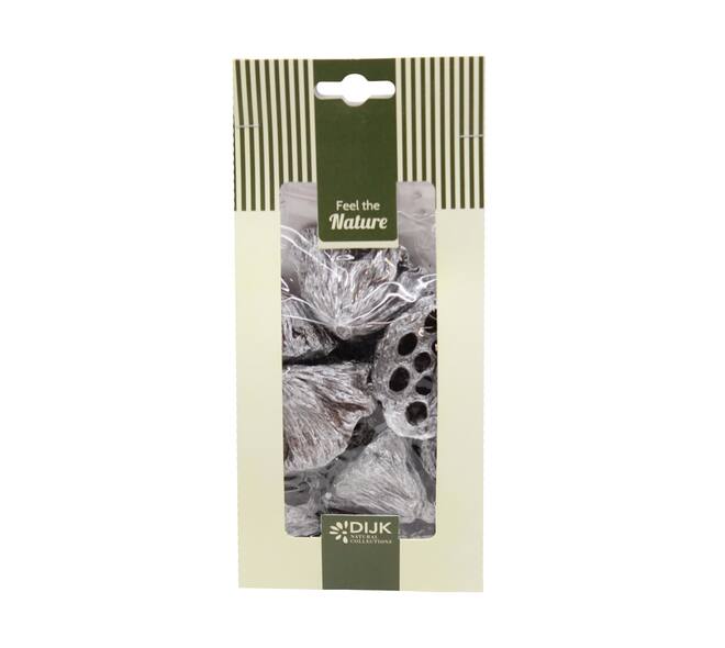 Lotus mini nature 10x5x22cm 10pc - Silver