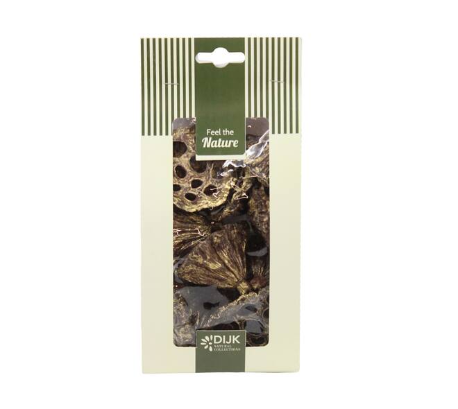 Lotus mini nature 10x5x22cm 10pc - Gold