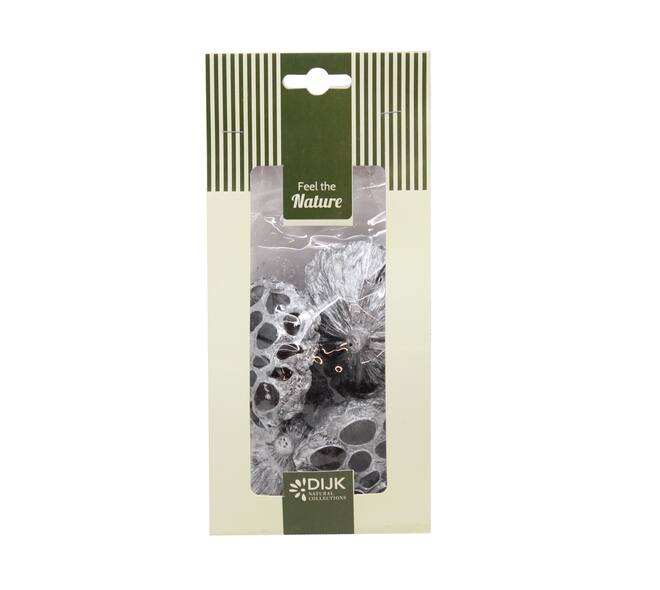 Lotus nature 10x5x22cm 4pc - Silver