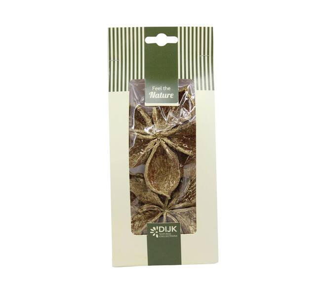 Landlotus nature 10x5x22cm 4pc - Gold