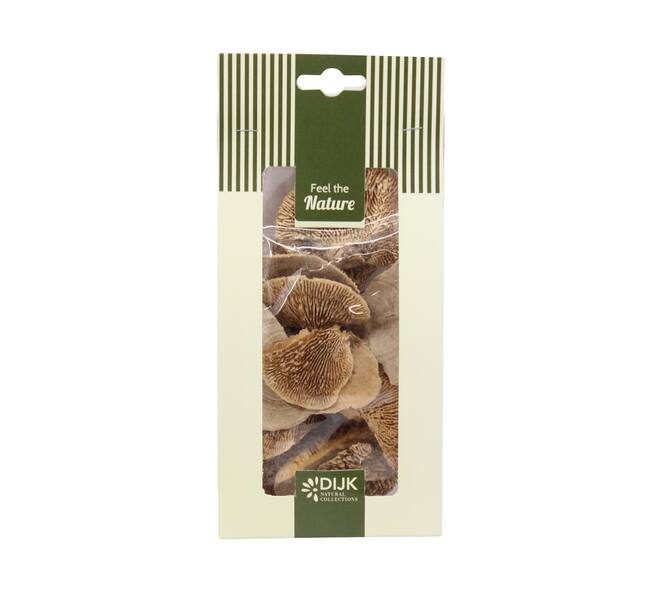 Mushroom sponge nature 10x5x22cm 50gr - Natural