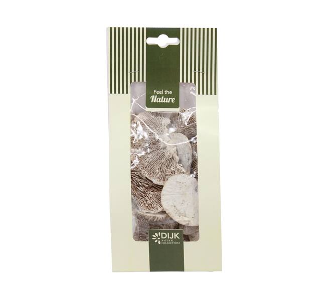 Mushroom sponge nature 10x5x22cm 50gr