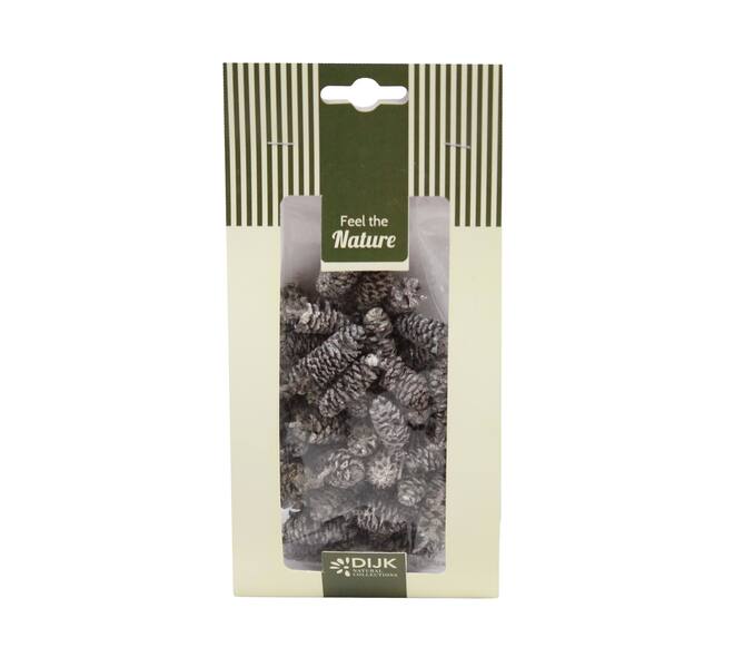 Pinecone birch nature 10x5x22cm 50gr