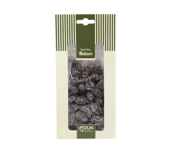 Pinecone birch nature 10x5x22cm 50gr