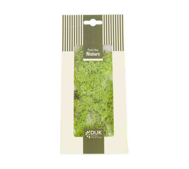 Moss reindeer 30gr nature 10x4x22cm