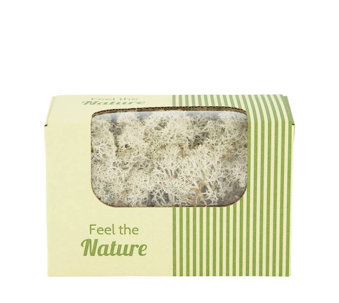 Moss reindeer 50gr nature 14x8x10cm - Natural
