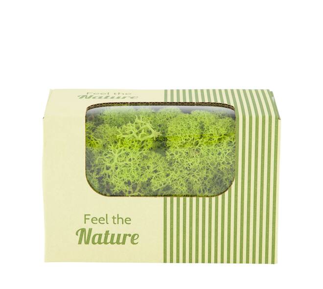 Moss reindeer 50gr nature 14x8x10cm - Green