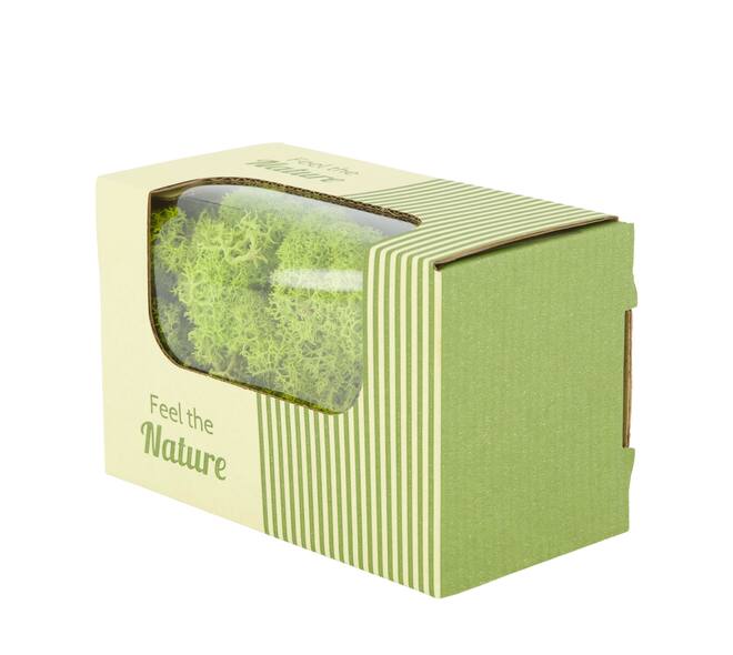 Moss reindeer 50gr nature 14x8x10cm - Green