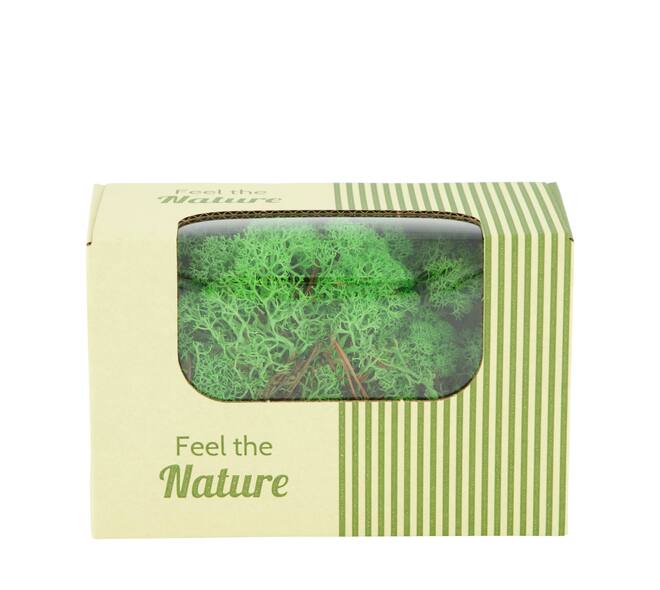Moss reindeer 50gr nature 14x8x10cm - Green