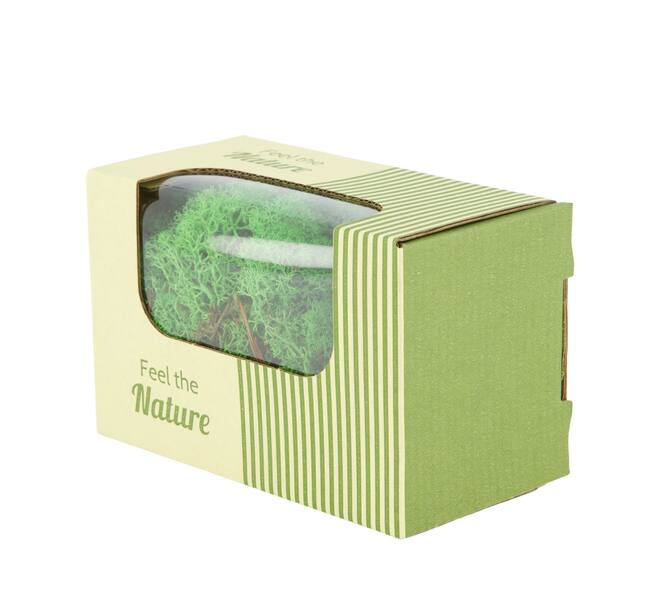 Moss reindeer 50gr nature 14x8x10cm - Green