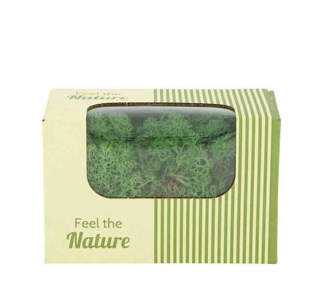 Moss reindeer 50gr nature 14x8x10cm - Green