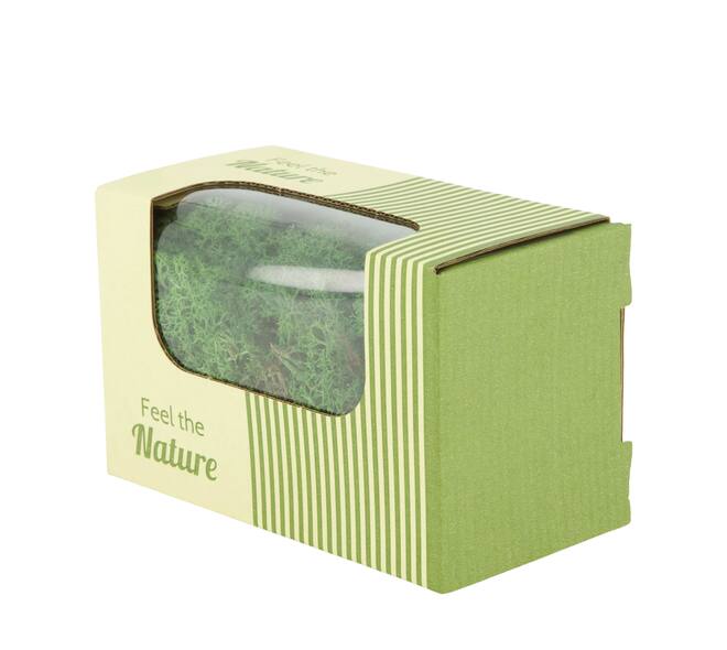 Moss reindeer 50gr nature 14x8x10cm - Green
