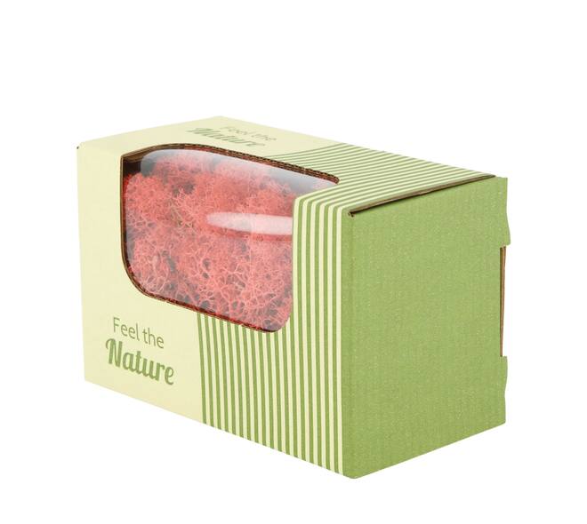 Moss reindeer 50gr nature 14x8x10cm