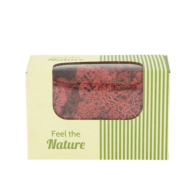 Moss reindeer 50gr nature 14x8x10cm - Red