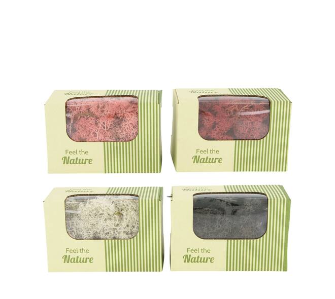 Moss reindeer 50gr nature 14x8x10cm  - Multi