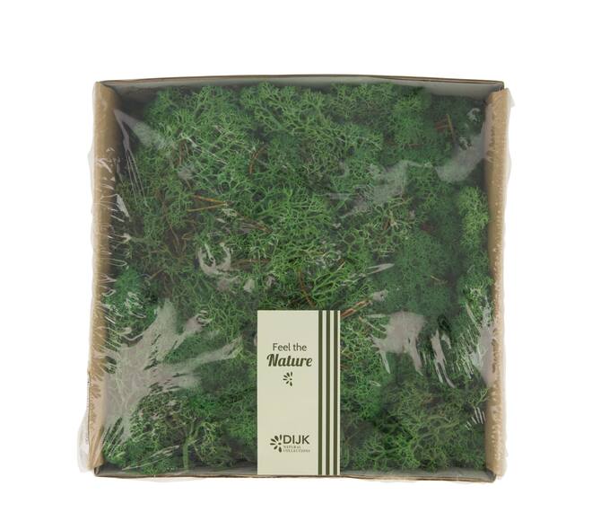Moss reindeer 250gr nature 19x19x7cm