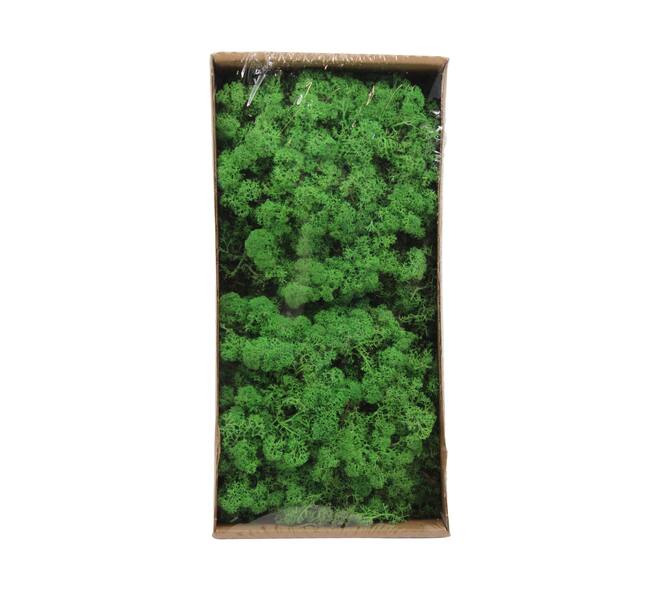 Moss reindeer 500gr nature 38x19x9cm