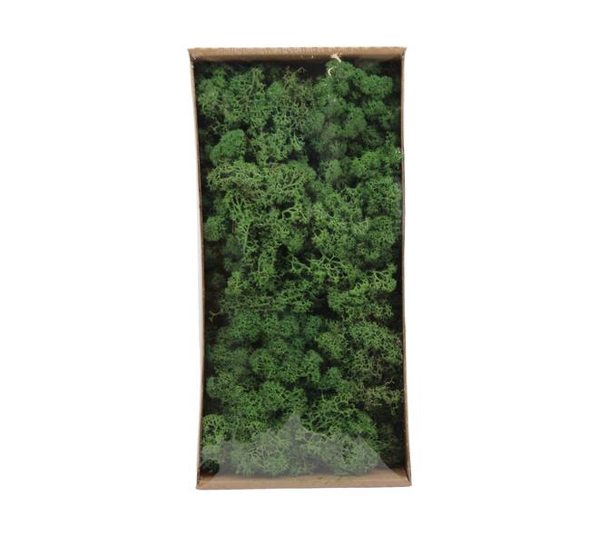 Moss reindeer 500gr nature 38x19x9cm
