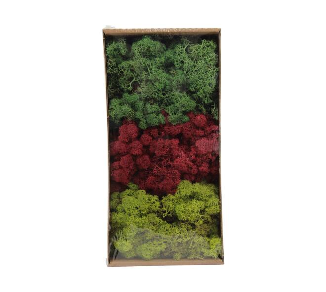 Moss reindeer 500gr nature 38x19x9cm