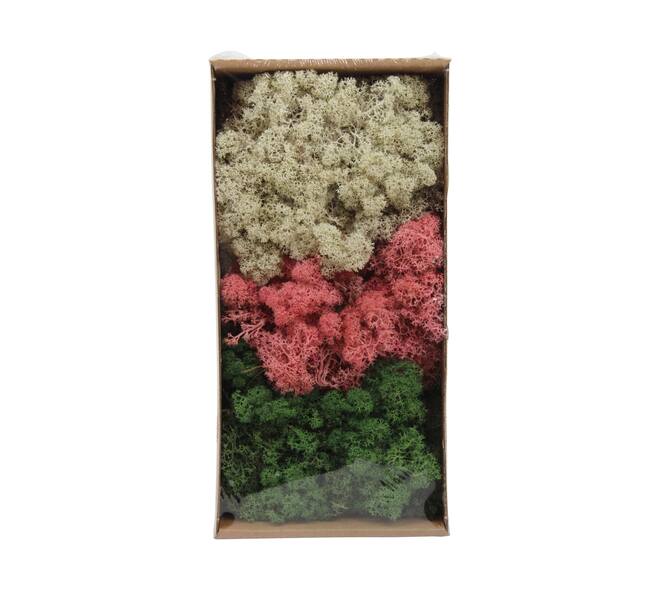 Moss reindeer 500gr nature 38x19x9cm