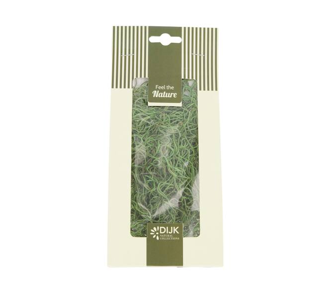 Moss tillandsia 30gr nature 10x4x22cm