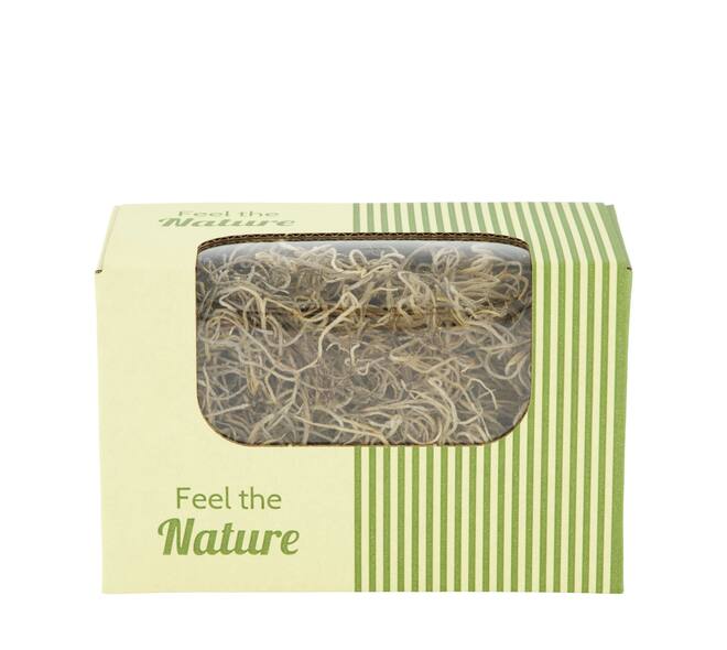 Moss tillandsia 50gr nature 14x8x10cm