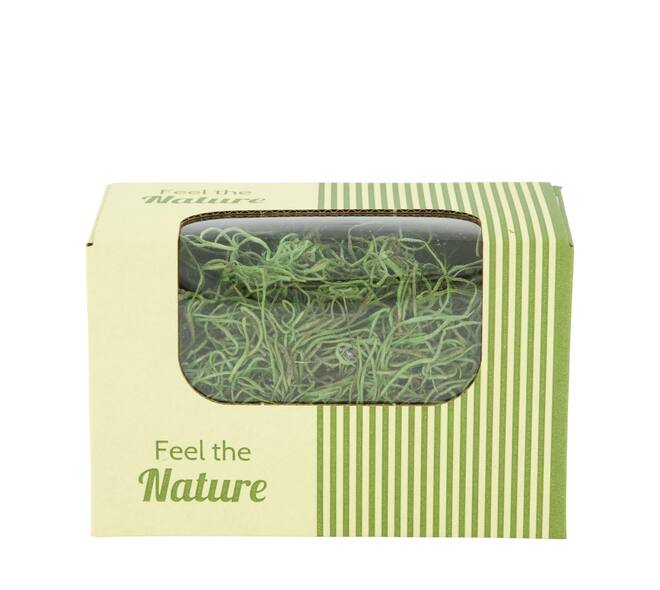 Moss tillandsia 50gr nature 14x8x10cm - Green