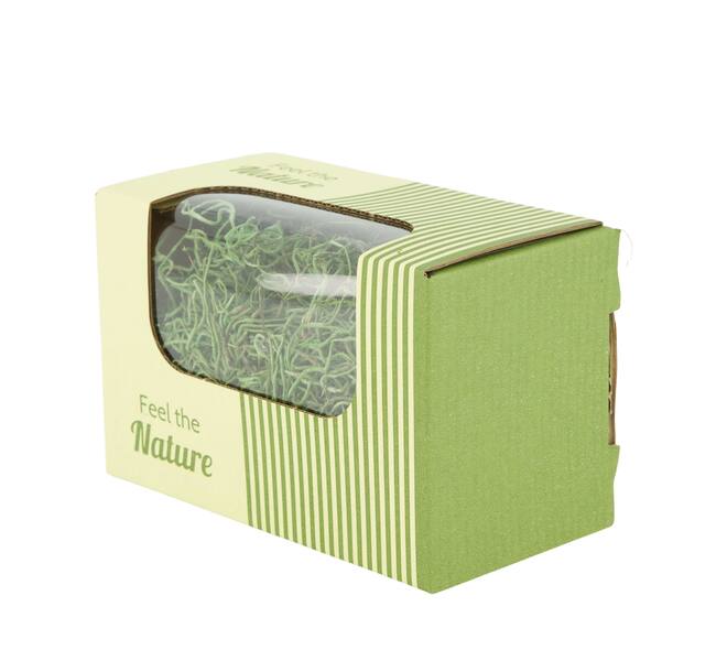 Moss tillandsia 50gr nature 14x8x10cm - Green