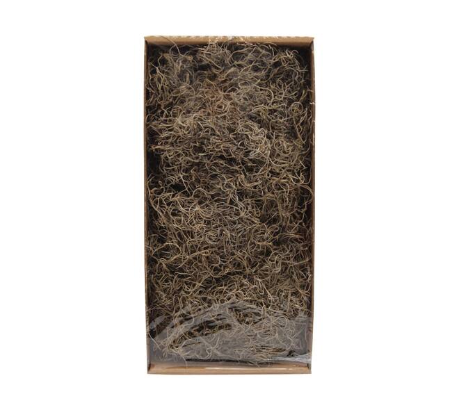 Moss tillandsia 500gr nature 38x19x9cm