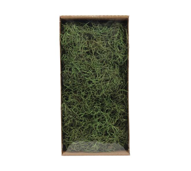 Moss tillandsia 500gr nature 38x19x9cm