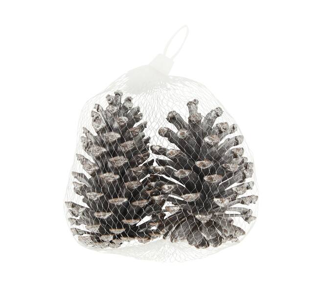 Pinecone nature 13x13x8cm 2pc